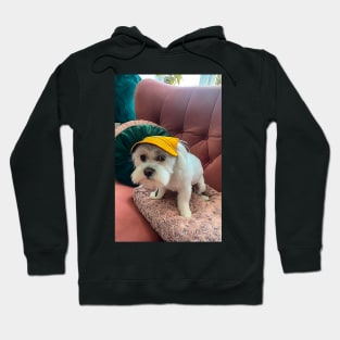 Funny white maltese dog in hat Hoodie